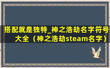 搭配就是独特_神之浩劫名字符号大全（神之浩劫steam名字）