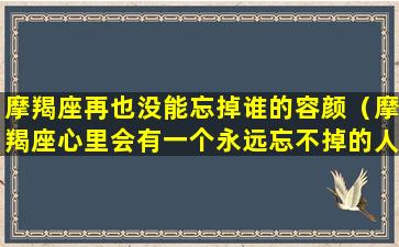 摩羯座再也没能忘掉谁的容颜（摩羯座心里会有一个永远忘不掉的人吗）