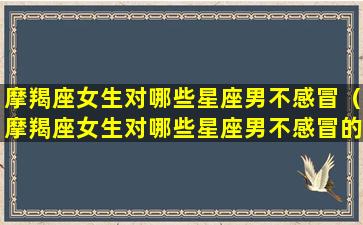 摩羯座女生对哪些星座男不感冒（摩羯座女生对哪些星座男不感冒的感觉）