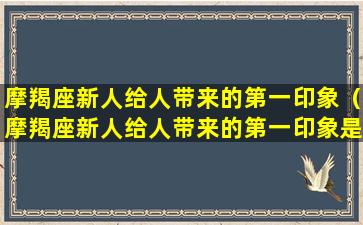 摩羯座新人给人带来的第一印象（摩羯座新人给人带来的第一印象是什么）