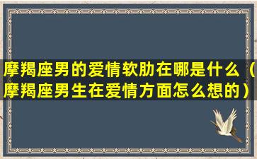 摩羯座男的爱情软肋在哪是什么（摩羯座男生在爱情方面怎么想的）