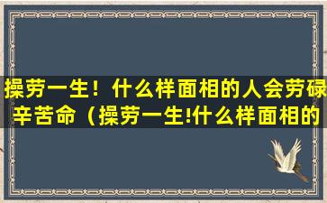 操劳一生！什么样面相的人会劳碌辛苦命（操劳一生!什么样面相的人会劳碌辛苦命）