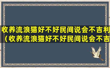 收养流浪猫好不好民间说会不吉利（收养流浪猫好不好民间说会不吉利的话）