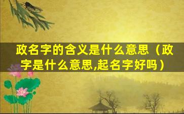 政名字的含义是什么意思（政字是什么意思,起名字好吗）