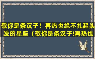 敬你是条汉子！再热也绝不扎起头发的星座（敬你是条汉子!再热也绝不扎起头发的星座）