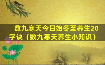 数九寒天今日始冬至养生20字诀（数九寒天养生小知识）