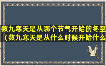 数九寒天是从哪个节气开始的冬至（数九寒天是从什么时候开始什么时候结束）