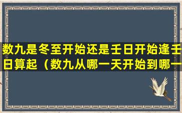 数九是冬至开始还是壬日开始逢壬日算起（数九从哪一天开始到哪一天结束）