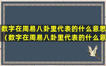 数字在周易八卦里代表的什么意思（数字在周易八卦里代表的什么意思呢）