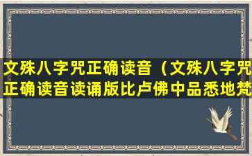 文殊八字咒正确读音（文殊八字咒正确读音读诵版比卢佛中品悉地梵文）