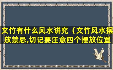 文竹有什么风水讲究（文竹风水摆放禁忌,切记要注意四个摆放位置）