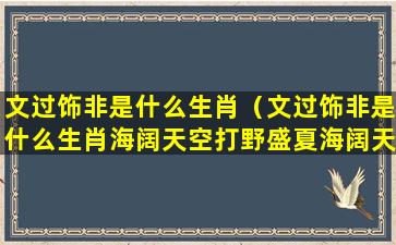 文过饰非是什么生肖（文过饰非是什么生肖海阔天空打野盛夏海阔天空）