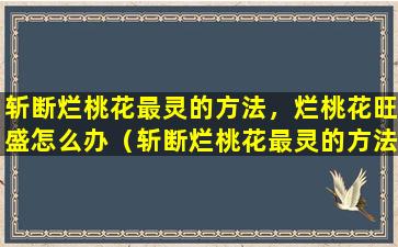 斩断烂桃花最灵的方法，烂桃花旺盛怎么办（斩断烂桃花最灵的方法,烂桃花旺盛怎么办）