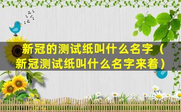 新冠的测试纸叫什么名字（新冠测试纸叫什么名字来着）