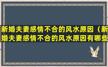 新婚夫妻感情不合的风水原因（新婚夫妻感情不合的风水原因有哪些）