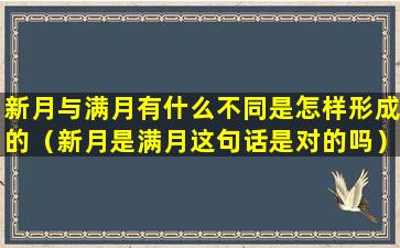 新月与满月有什么不同是怎样形成的（新月是满月这句话是对的吗）