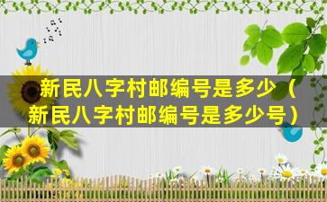 新民八字村邮编号是多少（新民八字村邮编号是多少号）