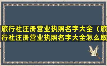 旅行社注册营业执照名字大全（旅行社注册营业执照名字大全怎么取）