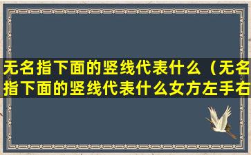 无名指下面的竖线代表什么（无名指下面的竖线代表什么女方左手右手）