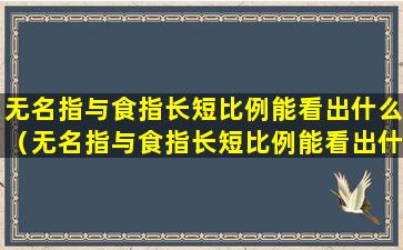 无名指与食指长短比例能看出什么（无名指与食指长短比例能看出什么意思）