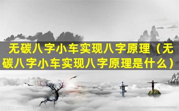 无碳八字小车实现八字原理（无碳八字小车实现八字原理是什么）