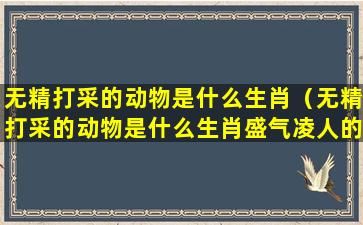 无精打采的动物是什么生肖（无精打采的动物是什么生肖盛气凌人的动物）