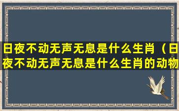 日夜不动无声无息是什么生肖（日夜不动无声无息是什么生肖的动物）