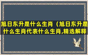 旭日东升是什么生肖（旭日东升是什么生肖代表什么生肖,精选解释落实）