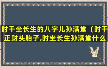 时干坐长生的八字儿孙满堂（时干正财头胎子,时坐长生孙满堂什么意思）