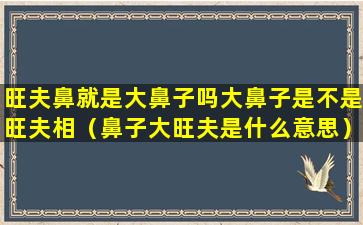 旺夫鼻就是大鼻子吗大鼻子是不是旺夫相（鼻子大旺夫是什么意思）