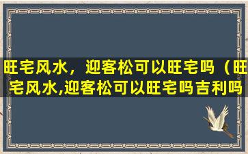 旺宅风水，迎客松可以旺宅吗（旺宅风水,迎客松可以旺宅吗吉利吗）