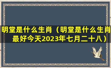 明堂是什么生肖（明堂是什么生肖最好今天2023年七月二十八）