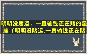 明明没赌运，一直输钱还在赌的星座（明明没赌运,一直输钱还在赌的星座）