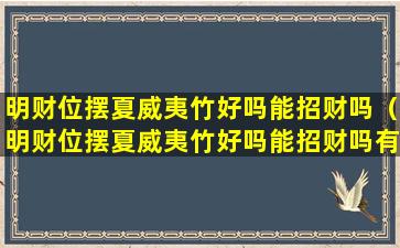 明财位摆夏威夷竹好吗能招财吗（明财位摆夏威夷竹好吗能招财吗有讲究吗）