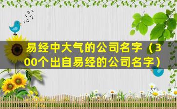 易经中大气的公司名字（300个出自易经的公司名字）