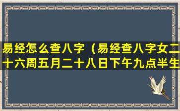 易经怎么查八字（易经查八字女二十六周五月二十八日下午九点半生）