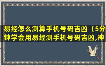 易经怎么测算手机号码吉凶（5分钟学会用易经测手机号码吉凶,神准!忒简单!）