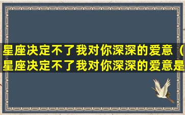 星座决定不了我对你深深的爱意（星座决定不了我对你深深的爱意是什么）