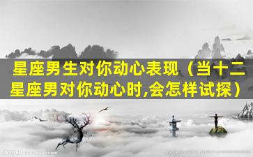 星座男生对你动心表现（当十二星座男对你动心时,会怎样试探）