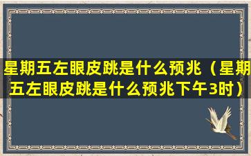 星期五左眼皮跳是什么预兆（星期五左眼皮跳是什么预兆下午3时）