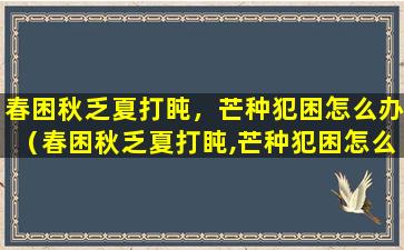 春困秋乏夏打盹，芒种犯困怎么办（春困秋乏夏打盹,芒种犯困怎么办）