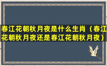 春江花朝秋月夜是什么生肖（春江花朝秋月夜还是春江花朝秋月夜）