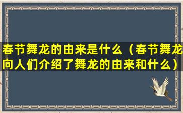 春节舞龙的由来是什么（春节舞龙向人们介绍了舞龙的由来和什么）