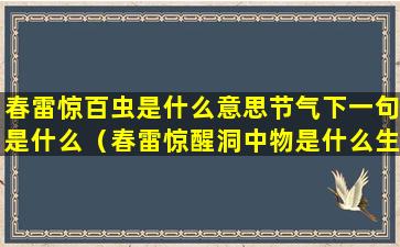 春雷惊百虫是什么意思节气下一句是什么（春雷惊醒洞中物是什么生肖）