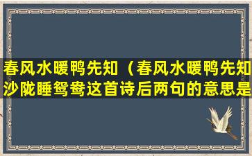 春风水暖鸭先知（春风水暖鸭先知沙陇睡鸳鸯这首诗后两句的意思是）