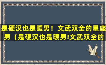 是硬汉也是暖男！文武双全的星座男（是硬汉也是暖男!文武双全的星座男）