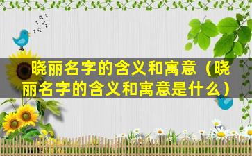 晓丽名字的含义和寓意（晓丽名字的含义和寓意是什么）