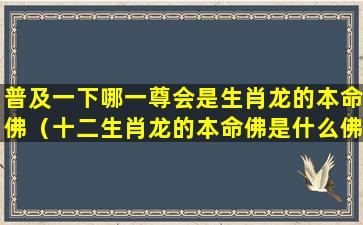 普及一下哪一尊会是生肖龙的本命佛（十二生肖龙的本命佛是什么佛）