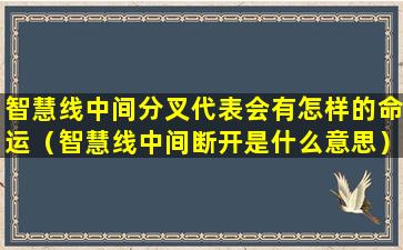 智慧线中间分叉代表会有怎样的命运（智慧线中间断开是什么意思）