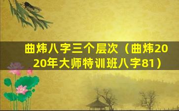 曲炜八字三个层次（曲炜2020年大师特训班八字81）